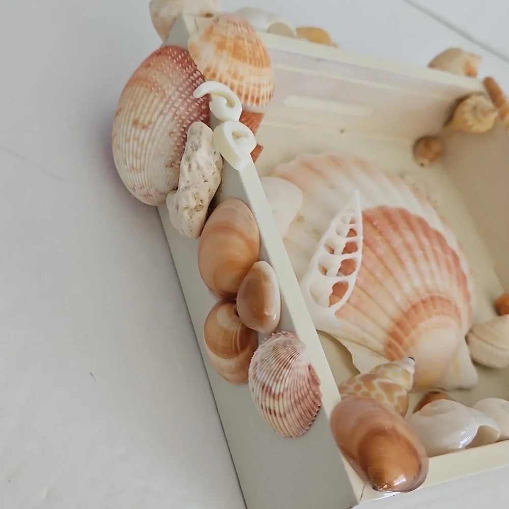 N/A natural shell